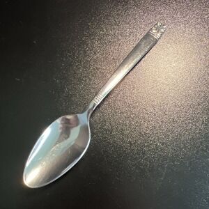 Oneida Aztec Encore Set of 1 Stainless Teaspoon-WMA‎ Roger's